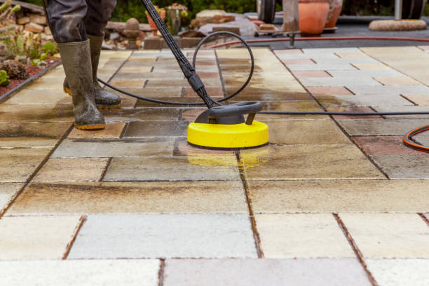Best Animal Enclosure Cleaning  in Terre Haute, IN