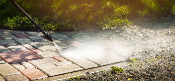 Best Roof Washing  in Terre Haute, IN
